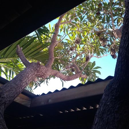 Villa Yapaplupres Saint-Leu Bagian luar foto